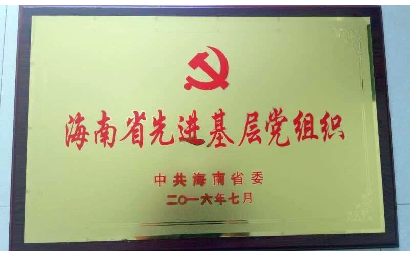热烈祝贺海南千江月酒店管理有限公司党支部荣获海南省先进基层党组织称号