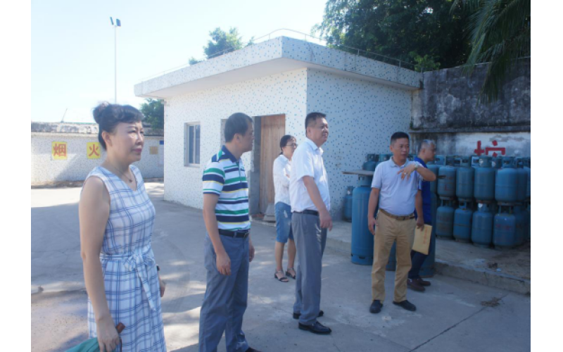 公司纪委书记王德海带队到新埠气站等三家单位进行安全生产检查