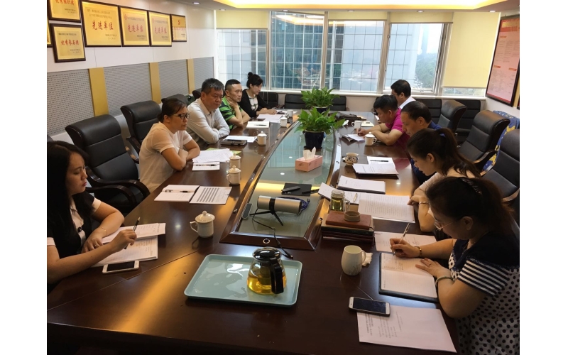 公司对所属企业开展党建工作大检查