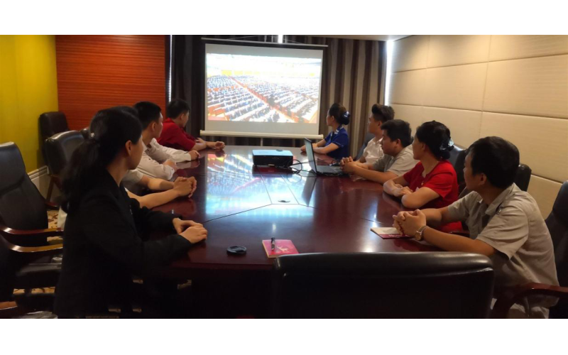 海南大酒店组织青年员工观看纪念五四运动100周年大会