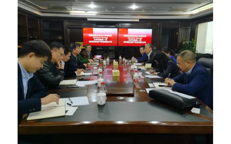安永会计师事务所大中华区到访海南信投