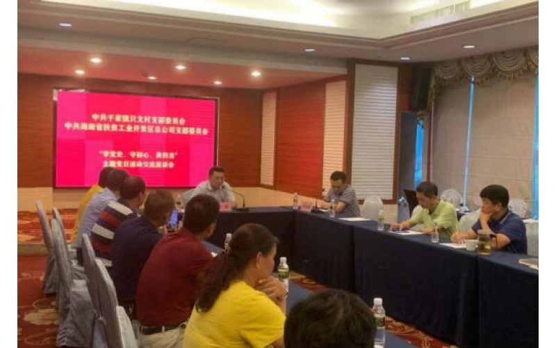 扶贫公司党支部与只文村党支部召开党建共建交流座谈会