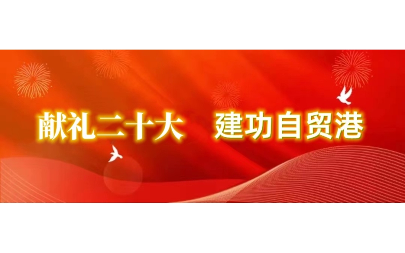 【贯彻党的二十大精神进行时⑥】海南联合系统党员干部员工热议党的二十大报告（二）