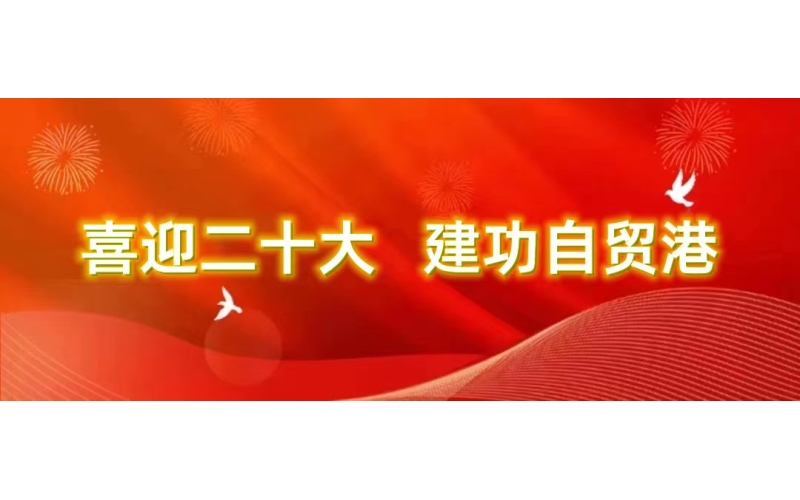 【贯彻党的二十大精神进行时⑨】海南联合系统学习党的二十大精神暨党建工作网络培训班顺利开班
