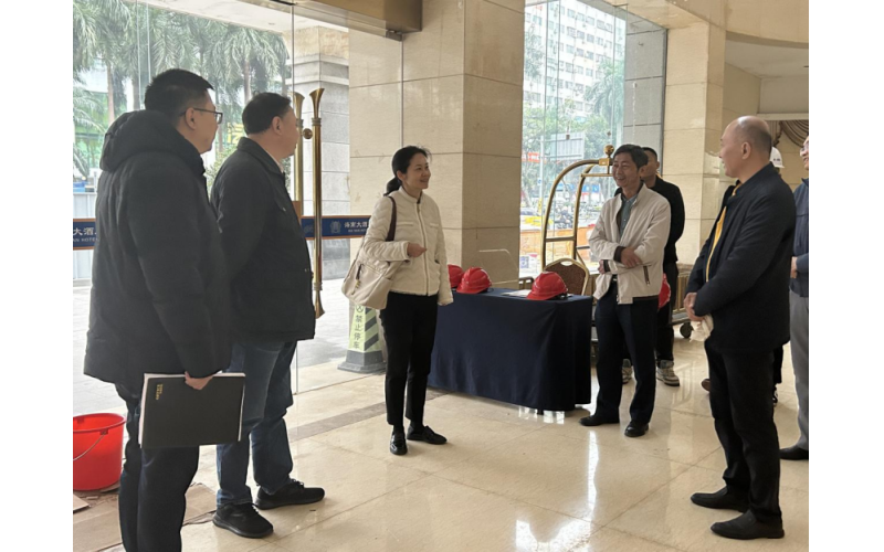 省国资委李红艳副主任带队开展 两节及春运期间安全生产综合检查