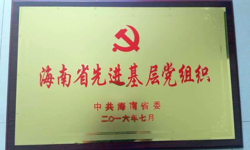 海南联合资产