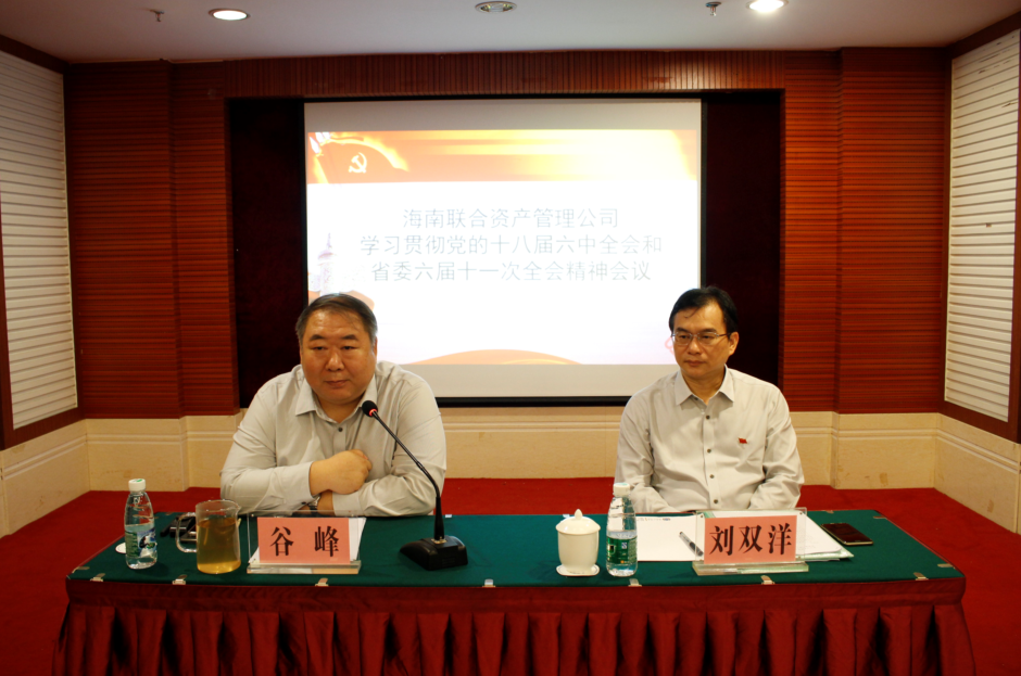海南联合资产 海南联合资产
