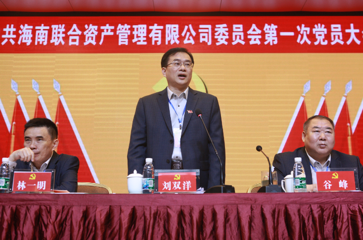 海南联合资产 海南联合资产