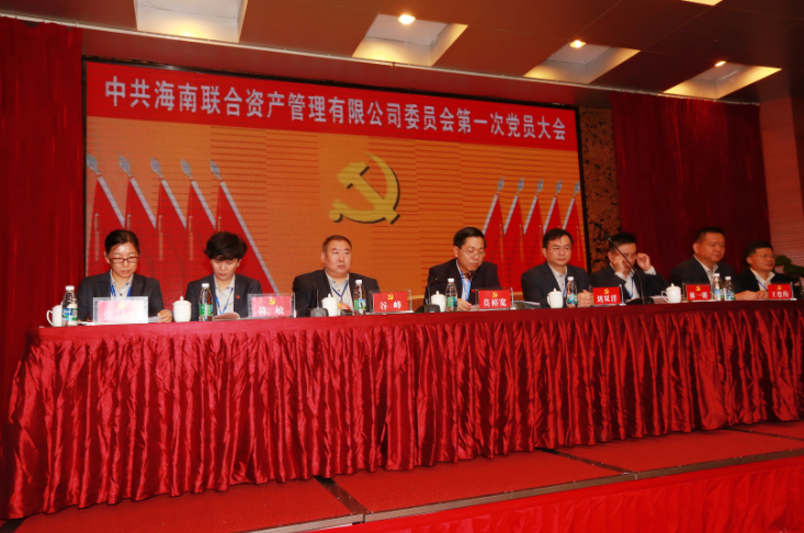海南联合资产 海南联合资产