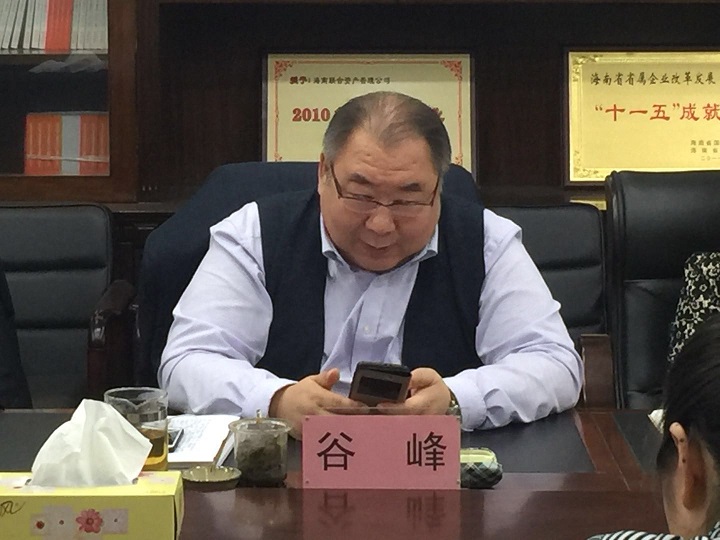 海南联合资产 海南联合资产