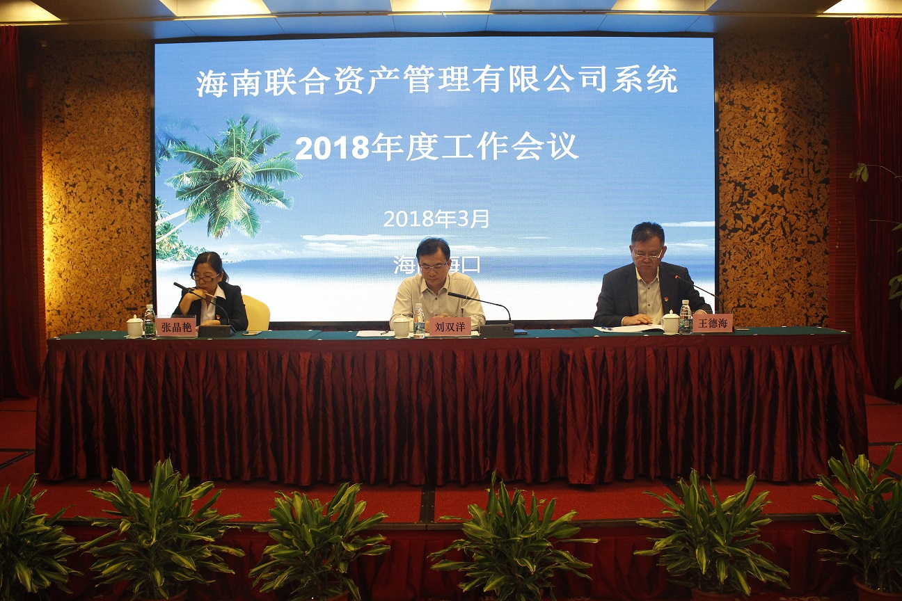 海南联合资产