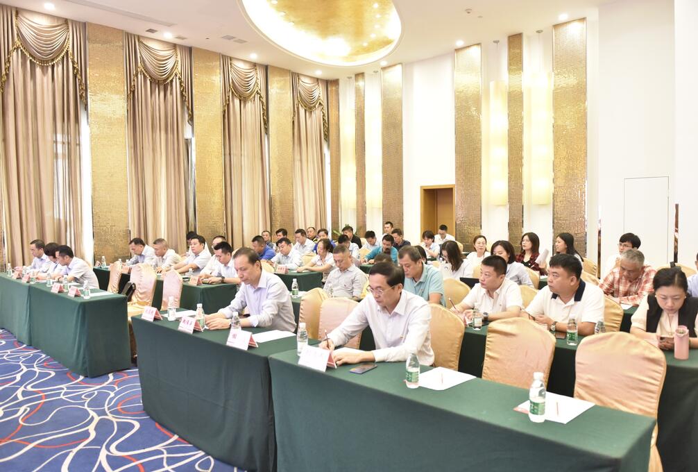 海南联合资产 海南联合资产