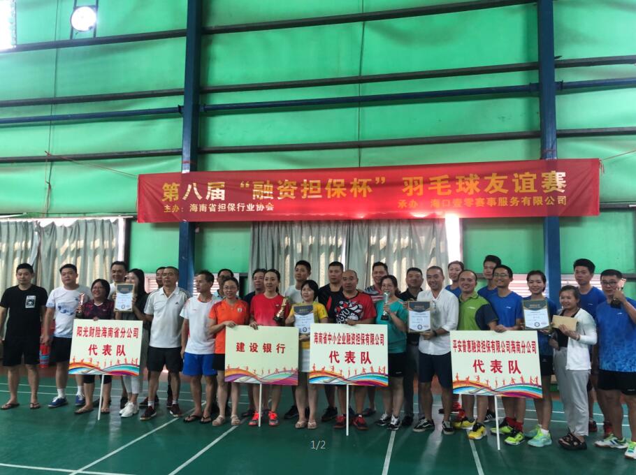 海南联合资产 海南联合资产
