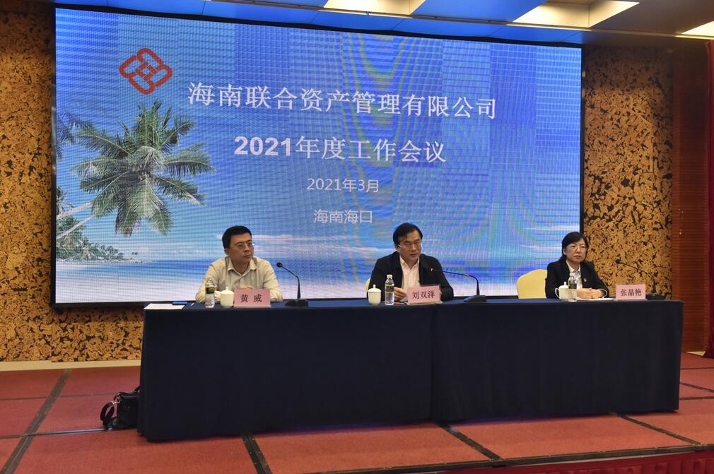 海南联合资产