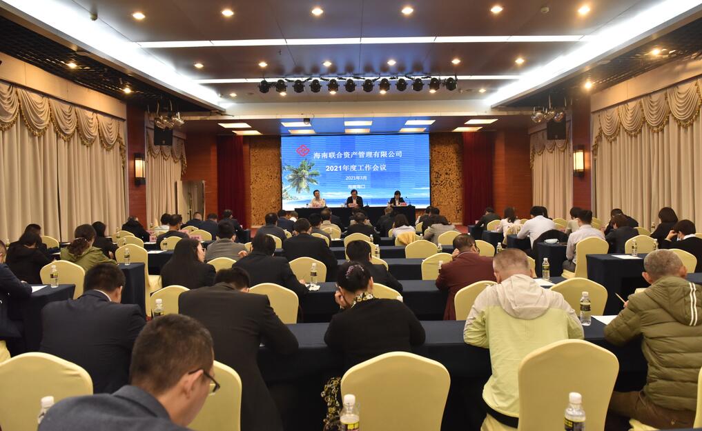 海南联合资产