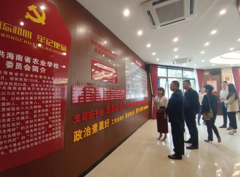海南联合资产