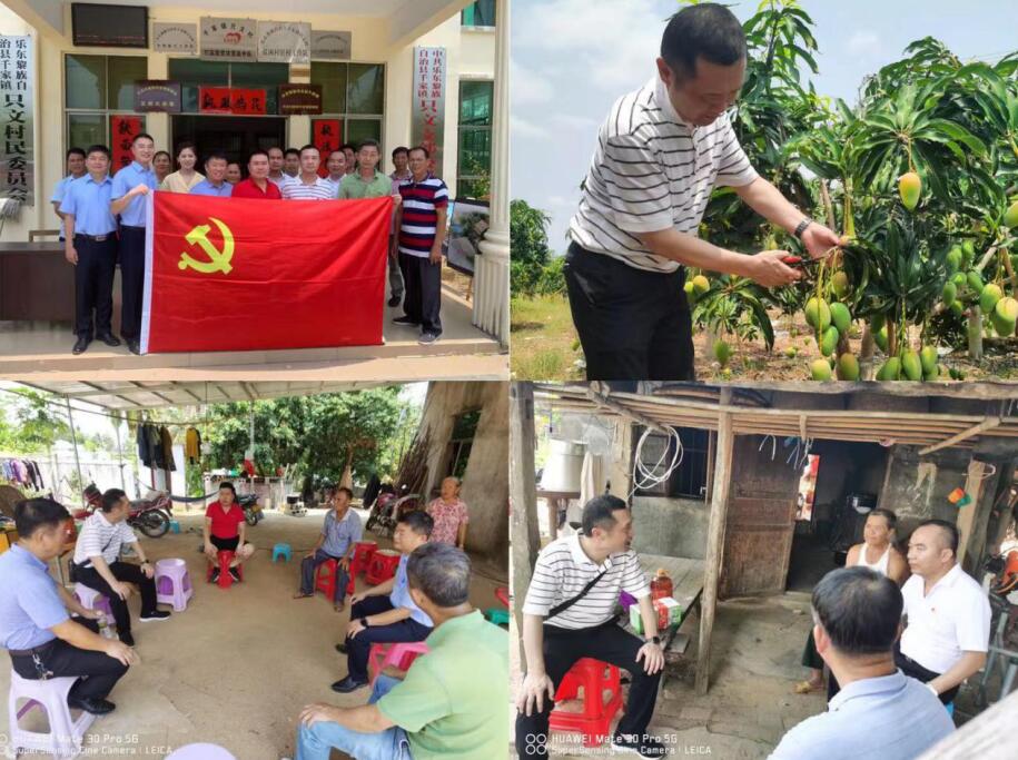 海南联合资产 海南联合资产