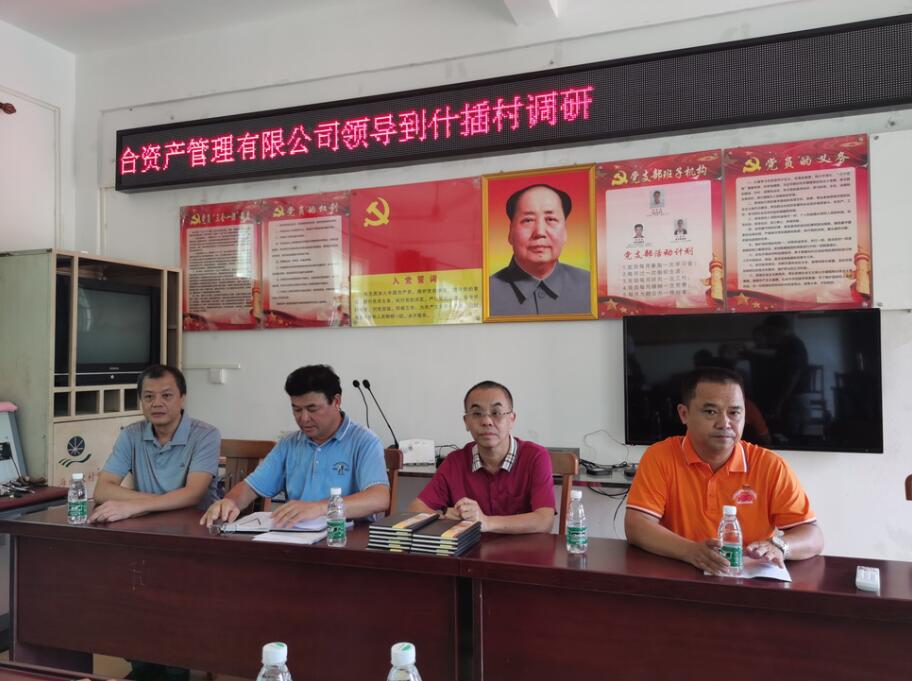 海南联合资产 海南联合资产