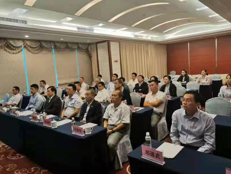 海南联合资产 海南联合资产