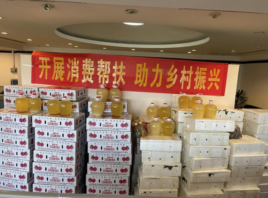 海南联合资产