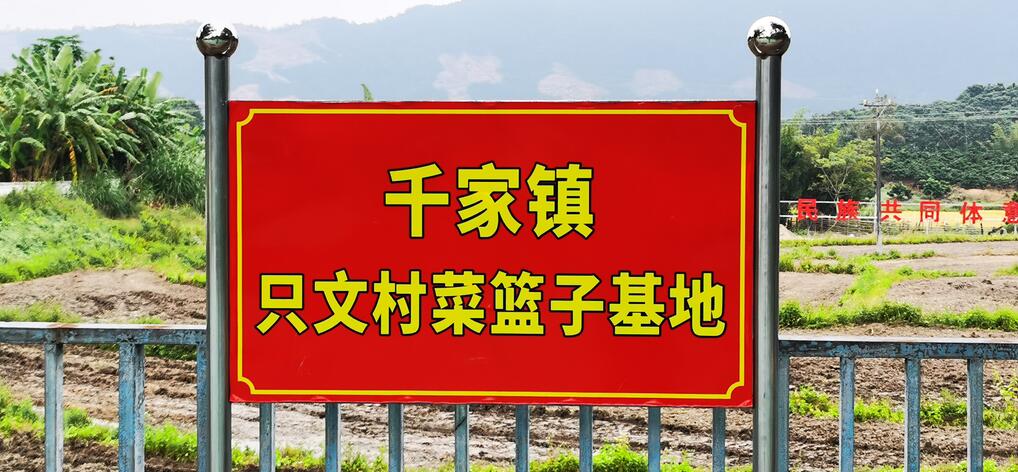 海南联合资产 海南联合资产