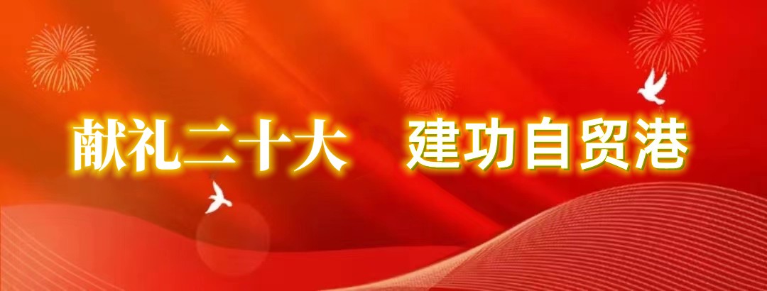 海南联合资产