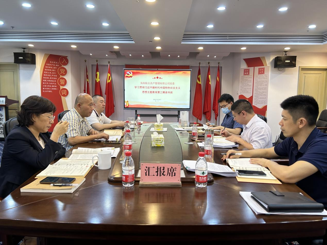海南联合资产 海南联合资产