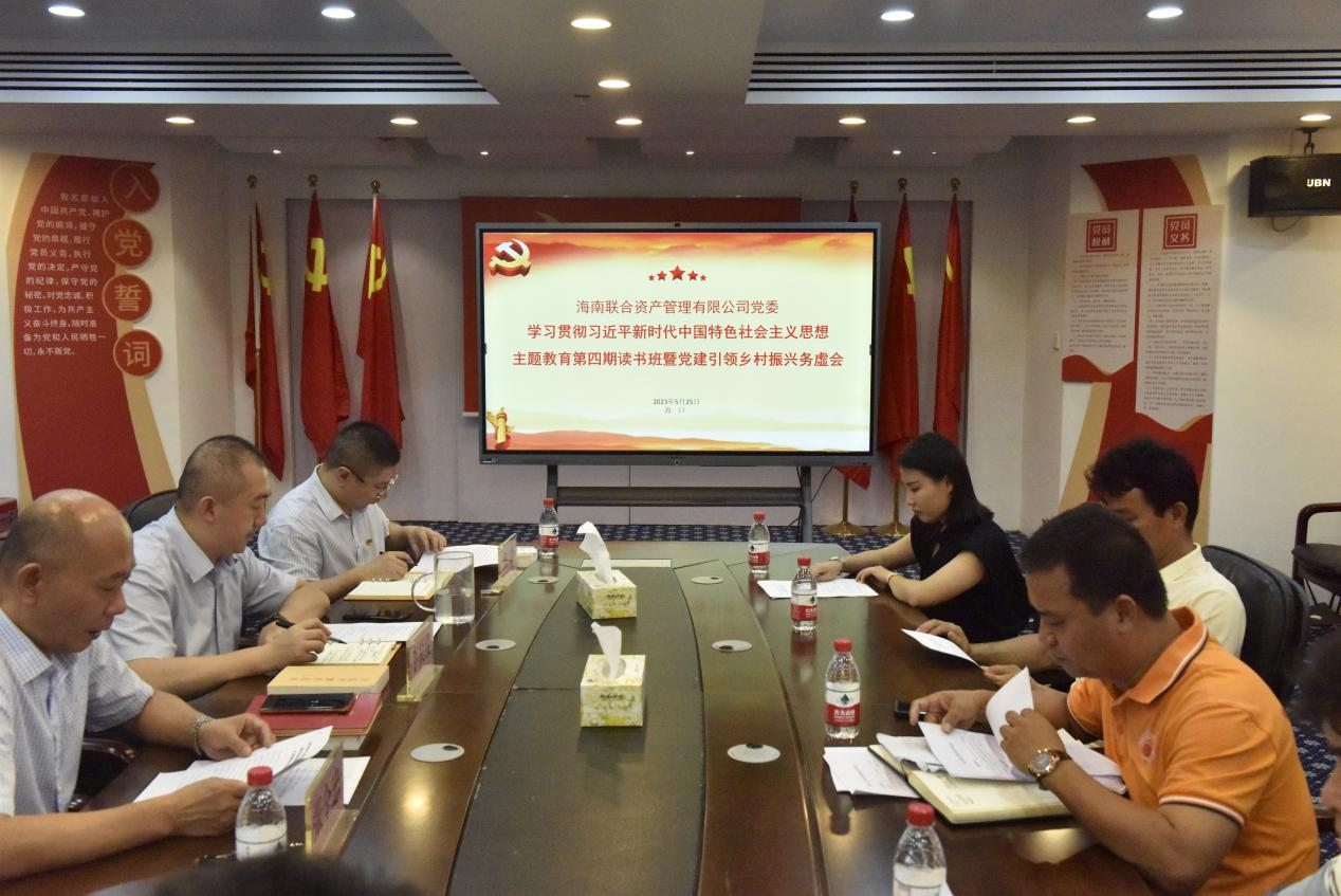 海南联合资产 海南联合资产