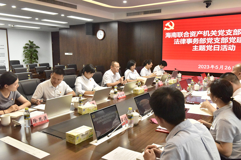 海南联合资产 海南联合资产