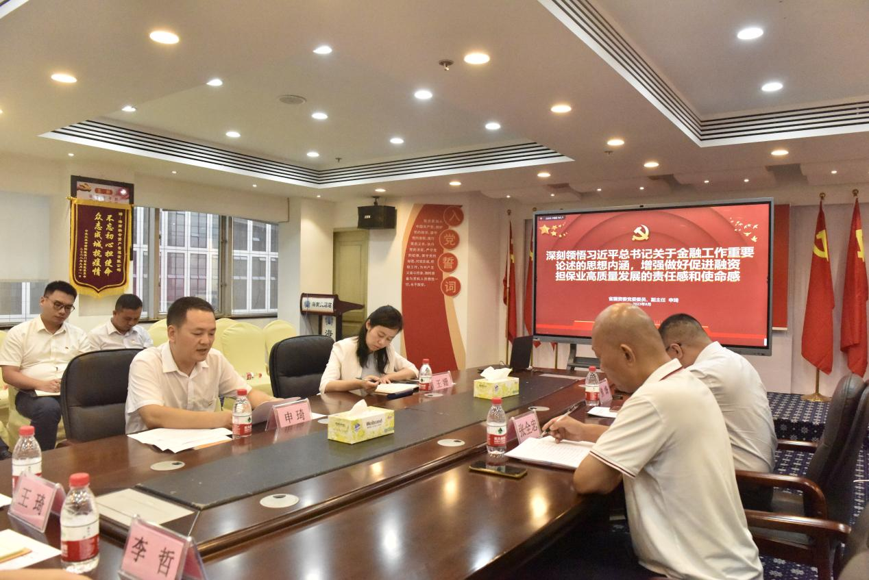 海南联合资产 海南联合资产