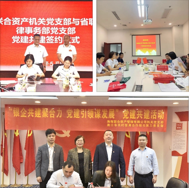 海南联合资产 海南联合资产