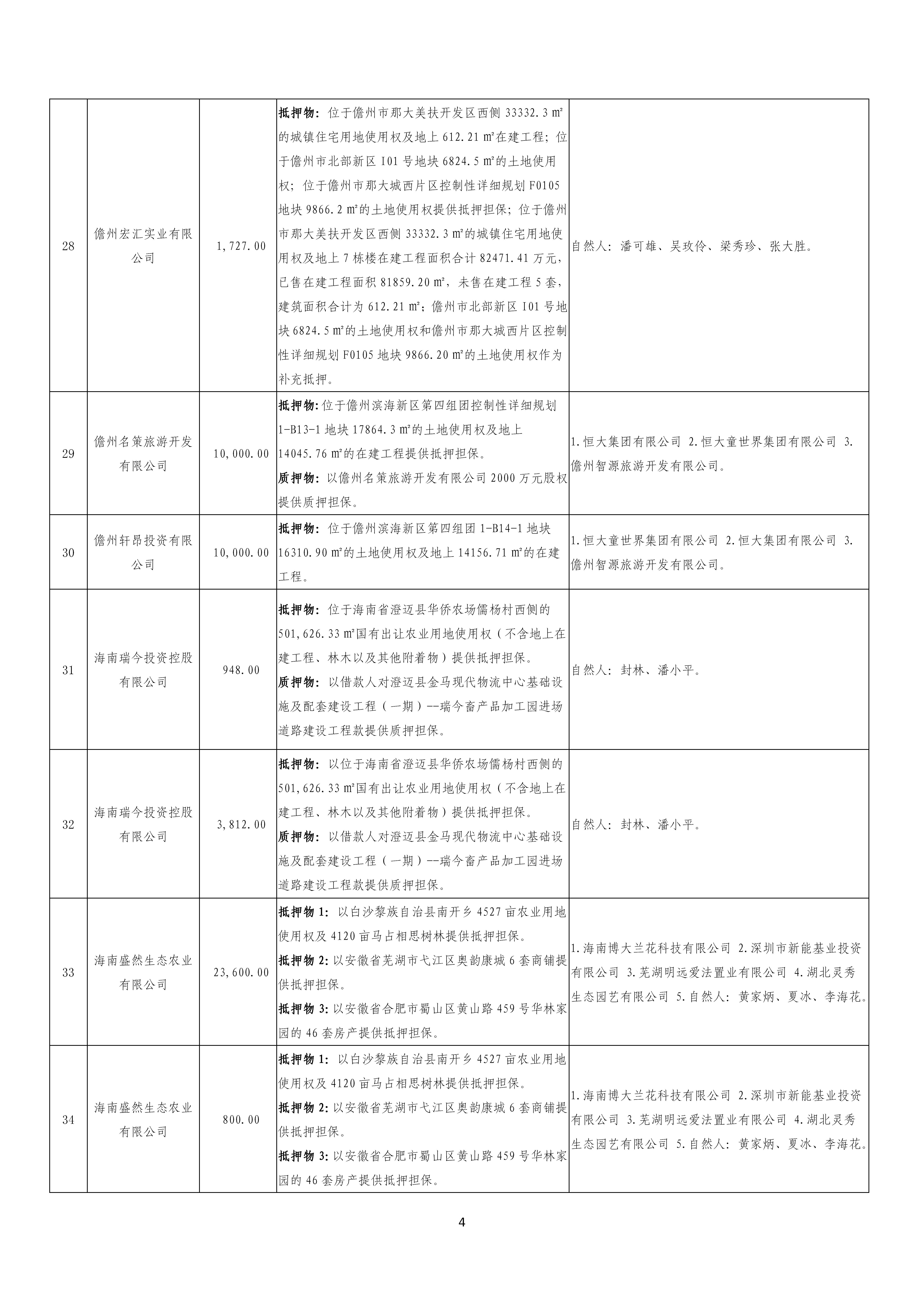 海南联合资产