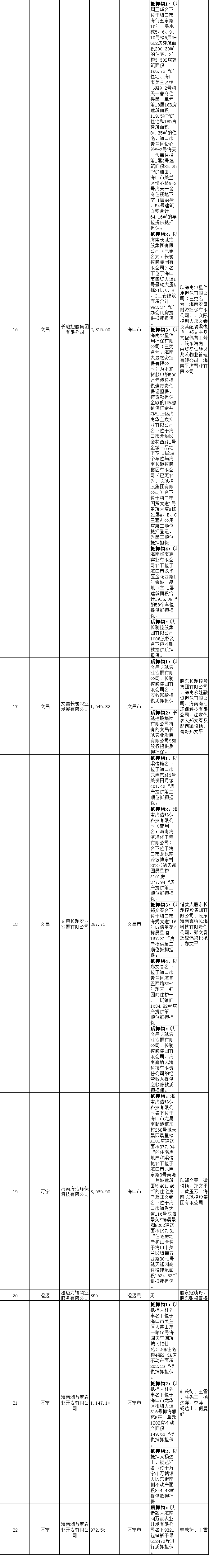 海南联合资产