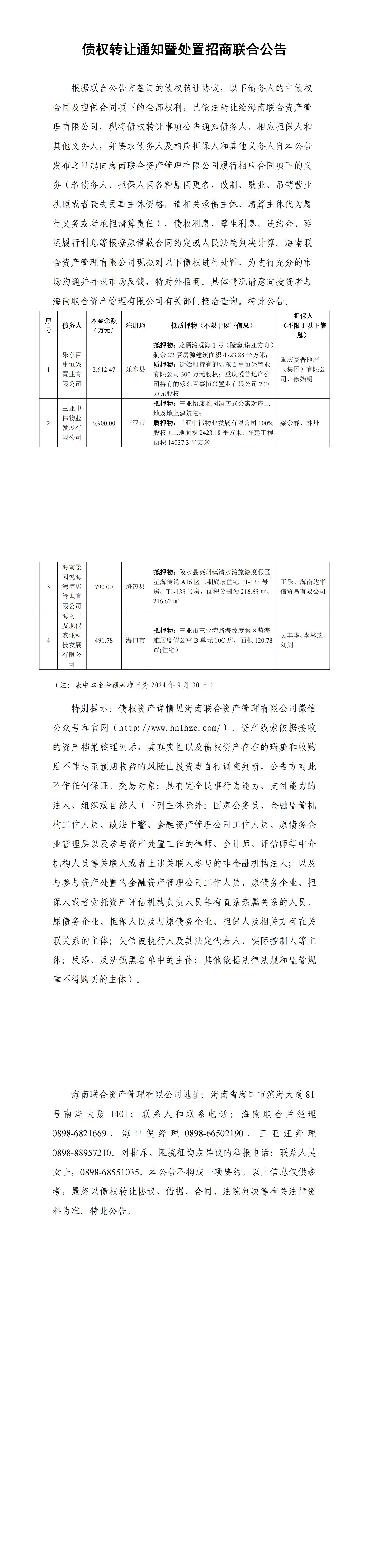 海南联合资产