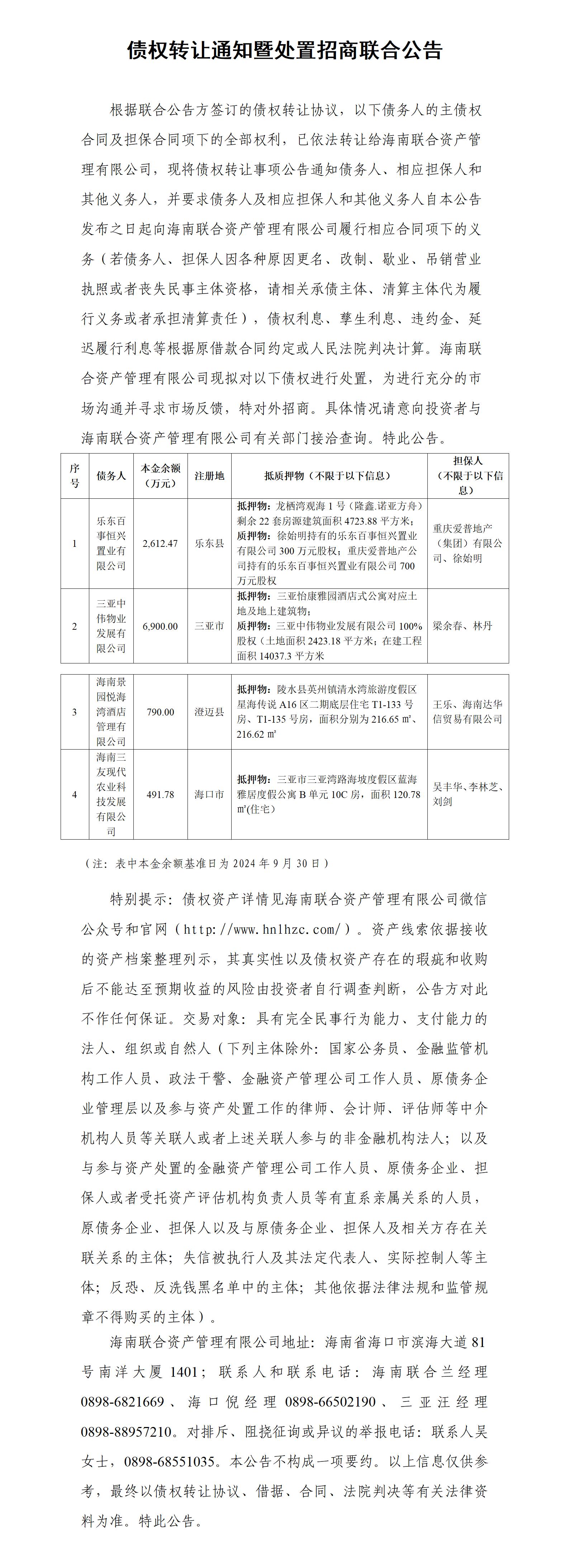 海南联合资产