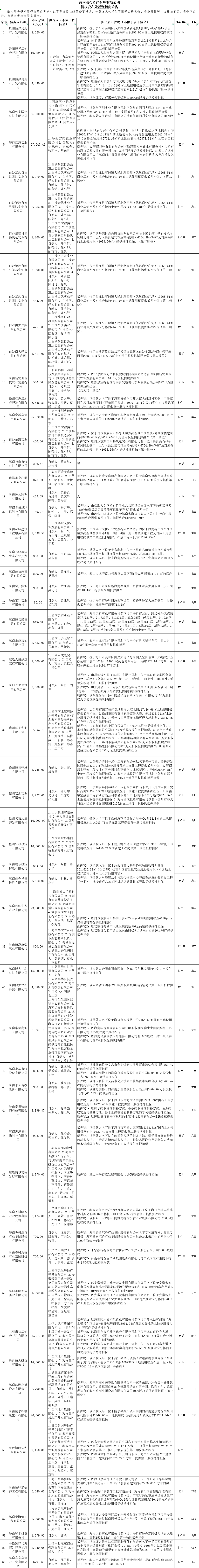 海南联合资产